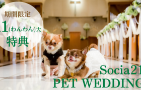 Socia21のペットウェディング🐾