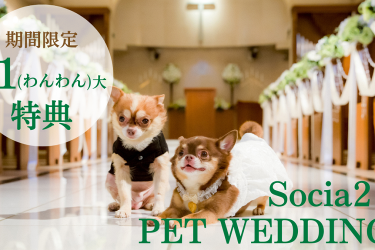 Socia21のペットウェディング🐾