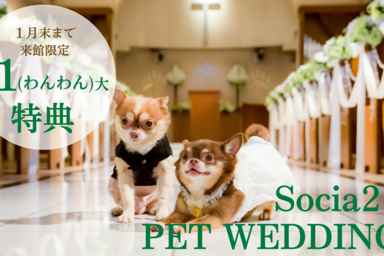 Socia21のペットウェディング🐾